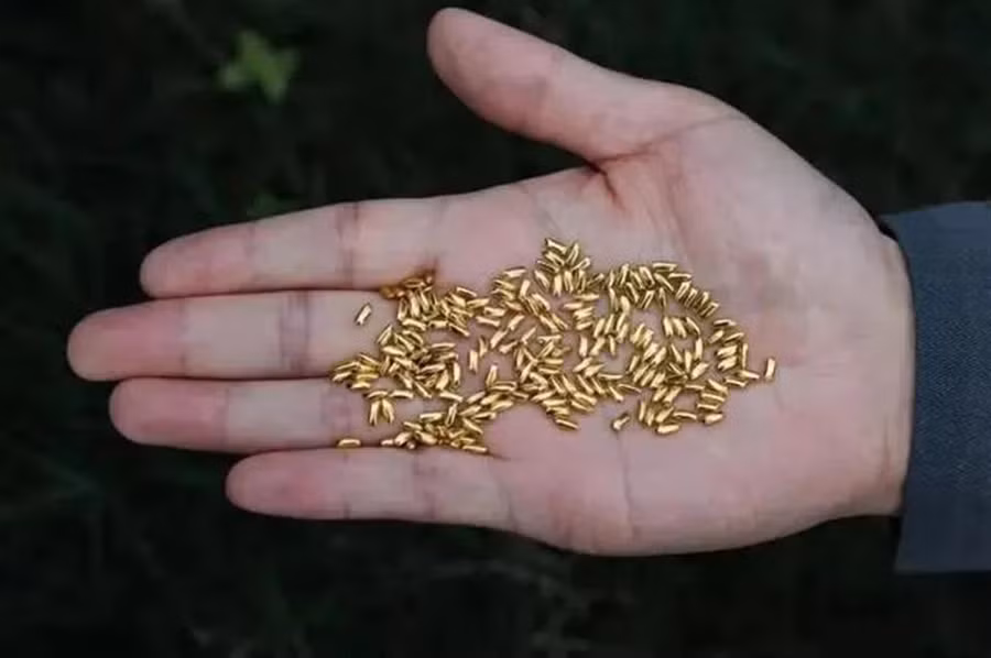 Người đàn ông đã bị chỉ trích vì hành động phung phí khi ném 1.000 hạt gạo bằng vàng trị giá hơn 30.000 USD vào thùng rác.