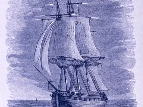 Anh-7-3108-1418372042.jpg