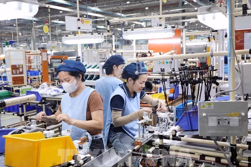 Nhờ các sàn giao dịch thông tin việc làm, nhiều người định hướng được nghề nghiệp (Ảnh minh họa: ITN).