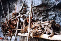 Dựng tóc gáy với những cái xác hun khói ở Papua New Guinea ảnh 5