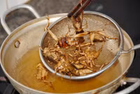 Độc đáo nghề săn dế cơm ở miền Tây ảnh 16
