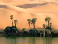 Vẻ đẹp mê hồn của ốc đảo giữa lòng sa mạc Sahara ảnh 6
