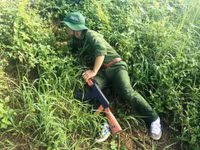 Tân sinh viên nỗ lực rèn luyện trên thao trường ảnh 9