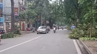 Hà Nội bị thương, tình người bén rễ ảnh 2