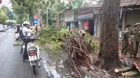 Hà Nội bị thương, tình người bén rễ ảnh 8