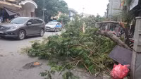 Hà Nội bị thương, tình người bén rễ ảnh 5