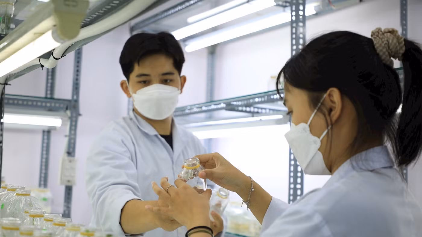 Sinh viên Trường Đại học Công Thương TPHCM trong giờ học thực hành. Ảnh: Công Chương