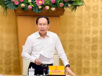Phó Thủ tướng Lê Tiến Châu phát biểu tại cuộc họp.