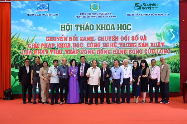 Đại biểu tham dự Hội thảo.