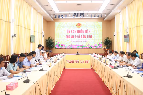 Quang cảnh buổi làm việc.