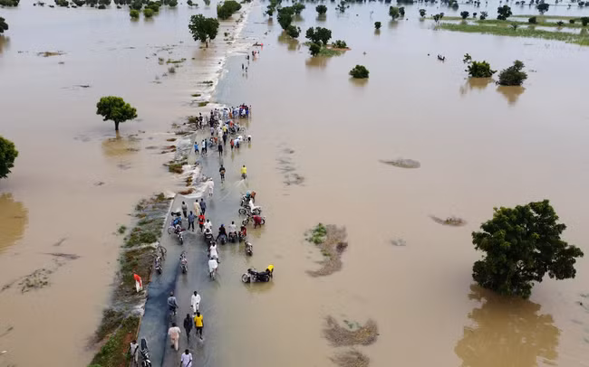 “Một trong những cống tràn của đập Borno đã bị sập, khiến lưu lượng nước tăng đáng kể ... và làm trầm trọng thêm tình trạng lũ lụt ở các khu vực xung quanh. Lũ lụt rất dữ dội và vượt quá mức dự báo. Chúng tôi không hình dung được lượng nước lớn như vậy sẽ tràn vào thị trấn", Người phát ngôn của NEMA nói với CNN. lũ lụt 7.png