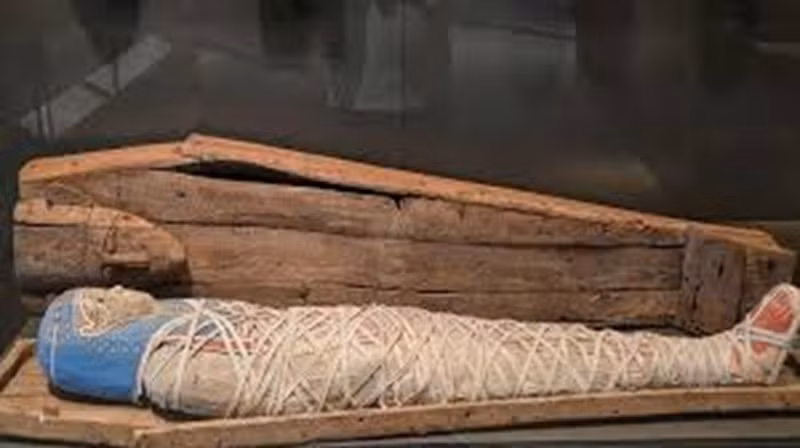 Cầu thang lớn, cao sáu tầng và có thể nhìn ra các kim tự tháp, và khu thương mại mở cửa cho công chúng, trưng bày các tượng đài và hiện vật bao gồm quan tài và tượng. bao-tang-13-5861.jpg