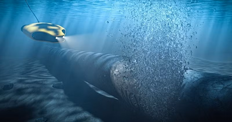 pha-1.jpg