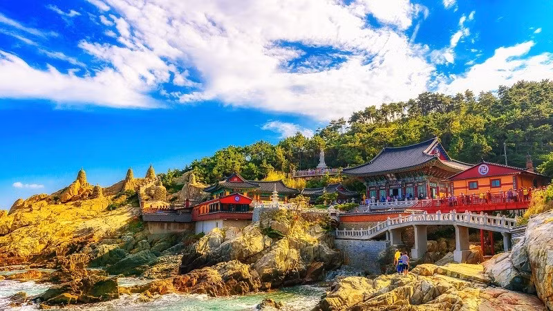 “Đa số du khách của chúng tôi muốn chụp ảnh vào ban ngày khi tham quan chùa Yonggungsa,” Jung “JJ” Jiho, một trong những người sáng lập công ty du lịch Hàn Quốc Lecirt, vui vẻ nói. chua-8.jpg