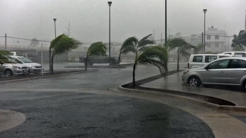 Quỹ đạo dự báo của Milton có thể đổ bộ vào ngày 9/10 tại các khu vực ở phía nam Vịnh Tampa. Toàn bộ khu vực dự kiến sẽ bị bão tấn công dữ dội. bao-7-6174.jpg
