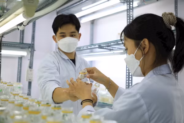 Sinh viên Trường Đại học Công Thương TPHCM trong giờ học thực hành. Ảnh: Công Chương