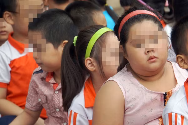 Tỷ lệ thừa cân, béo phì ở trẻ em lứa tuổi học sinh tại Việt Nam hiện ở mức khoảng 19% và có xu hướng gia tăng, đặc biệt tại các đô thị lớn. Ảnh minh họa: ITN.