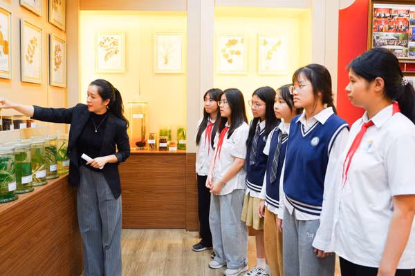Học sinh trải nghiệm thực tế tại Học viện Y – Dược học cổ truyền Việt Nam. Ảnh: NTCC