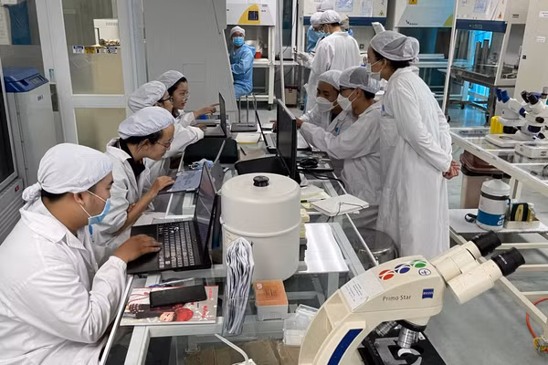 Nhà khoa học nghiên cứu tại phòng thí nghiệm tế bào gốc, Viện Tế bào gốc (Trường Đại học Khoa học Tự nhiên, Đại học Quốc gia TPHCM). Ảnh: Hà An