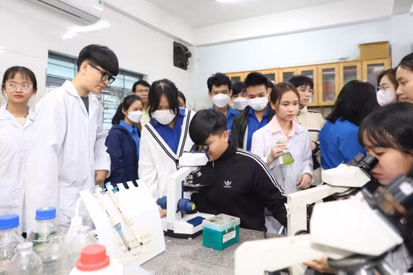 Sinh viên Trường Đại học Sư phạm (Đại học Đà Nẵng). Ảnh: NTCC