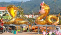 ran-lao-bao-9.jpg