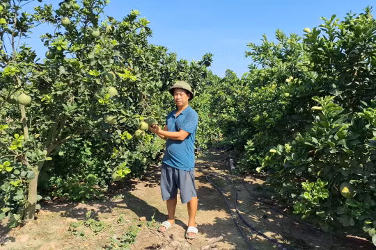 Nông dân Hải Phòng phấn khởi "khoe" thành quả phát triển kinh tế gia đình.