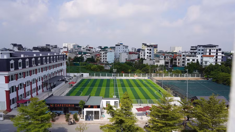 f6.jpg