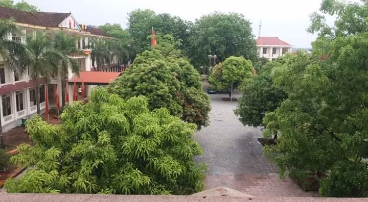 Hãy để cây xanh thực hiện sứ mệnh của mình!