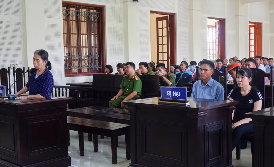 Bà nội đẩy cháu xuống đập nước tử vong bị phạt 12 năm tù ảnh 2