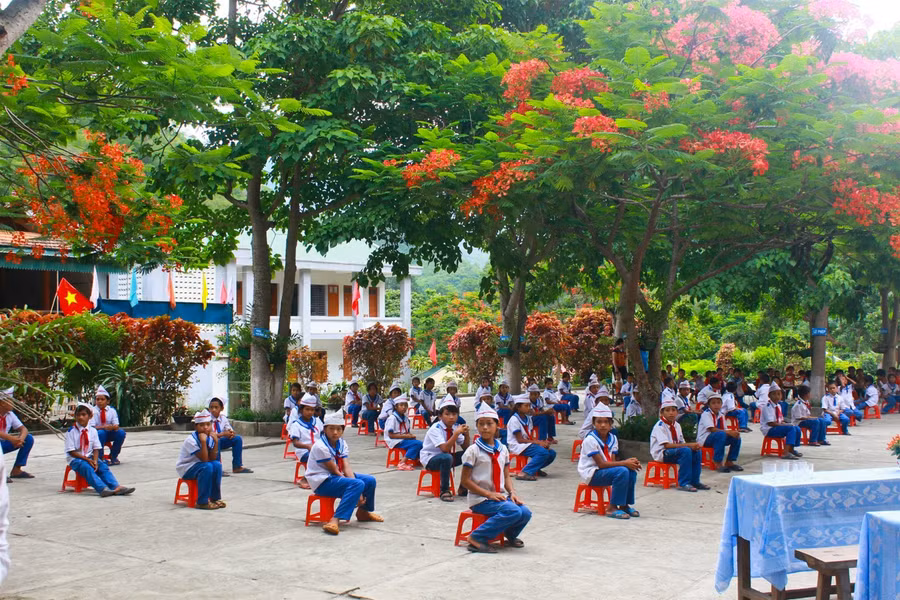 Rà soát, giữ bóng mát cây xanh là nhiệm vụ xuyên suốt năm học ảnh 5