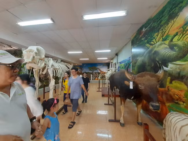Thảo Cầm Viên - vườn thú 156 tuổi mở rộng dịch vụ "hút khách" đến trải nghiệm ảnh 10