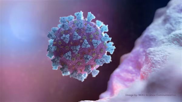 SARS-CoV-2 không tấn công đơn độc