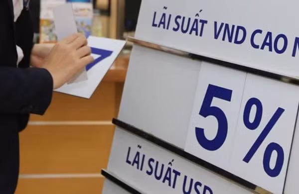 Lãi suất ngân hàng huy động chạm đáy: Đầu tư tiền nhàn rỗi vào đâu? ảnh 1