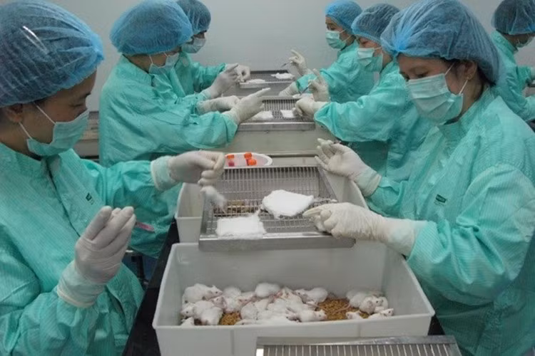  Thử vắc xin Covid-9 giai đoạn 2: “Kỳ tích” mang tên Việt Nam