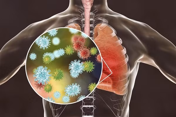 Động vật biển tẩy sạch virus