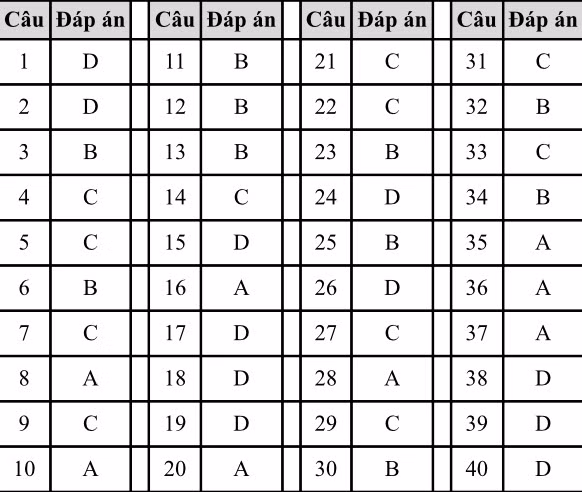 Gợi ý đáp án đề thi Tiếng Anh vào lớp 10 tại Hà Nội ảnh 4