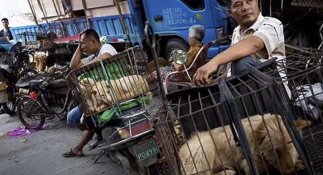 Covid-19: Trung Quốc báo cáo số ca mới tăng vọt, Indonesia có mức tăng kỷ lục