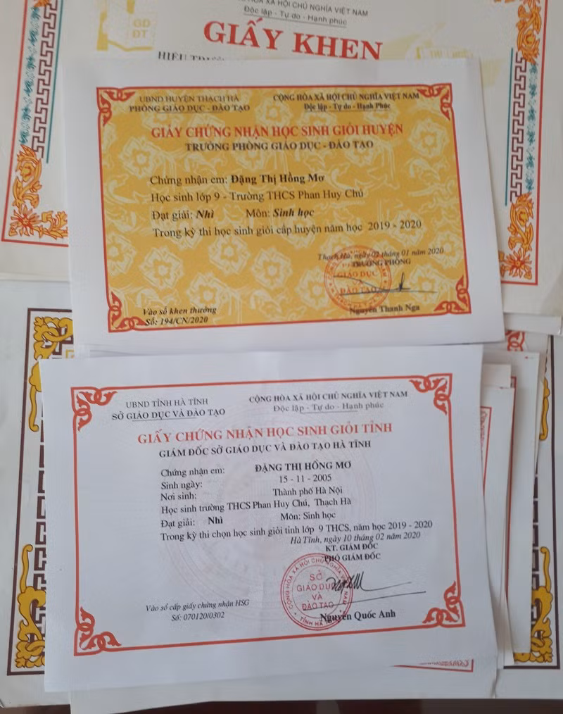 Bố mẹ làm nông, nữ sinh nỗ lực đỗ thủ khoa môn Sinh Trường chuyên Hà Tĩnh ảnh 2