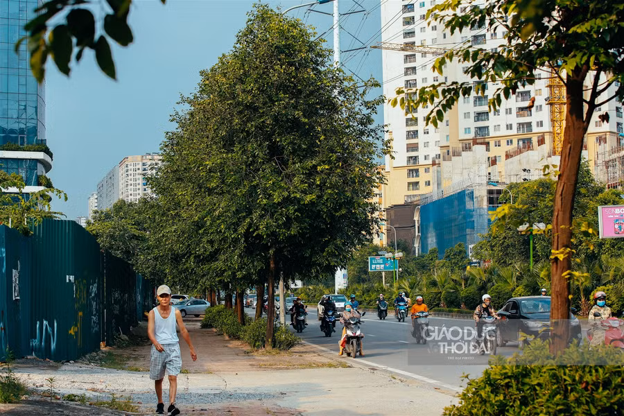 Một thoáng Sài Gòn giữa lòng Hà Nội ảnh 10