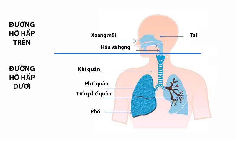 Cẩn thận với bệnh truyền nhiễm ở trẻ vào mùa hè ảnh 1