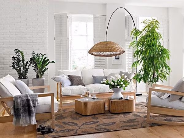 4 vị trí vàng đặt cây xanh trong nhà giúp gia chủ hút tài lộc 