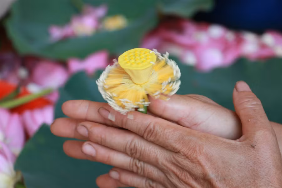 Chàng kỹ sư bén duyên với nghề ướp trà ảnh 8