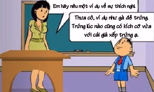 Cô giáo "ngã ngửa" trước sáng tạo của học sinh về cách thích nghi của loài gà 