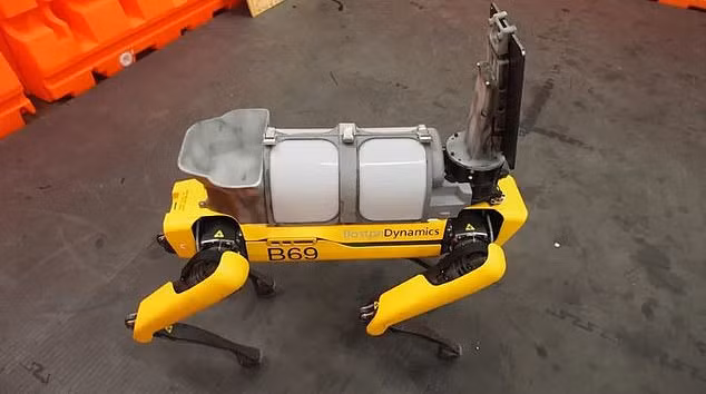 Mỹ: Chó robot tham gia phòng chống Covid-19 ảnh 2