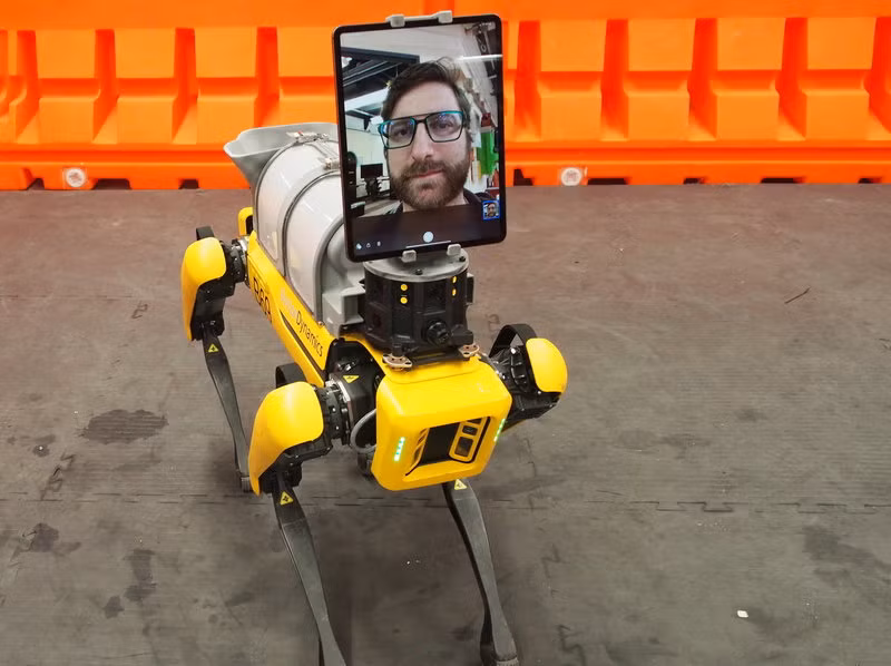 Mỹ: Chó robot tham gia phòng chống Covid-19 ảnh 1