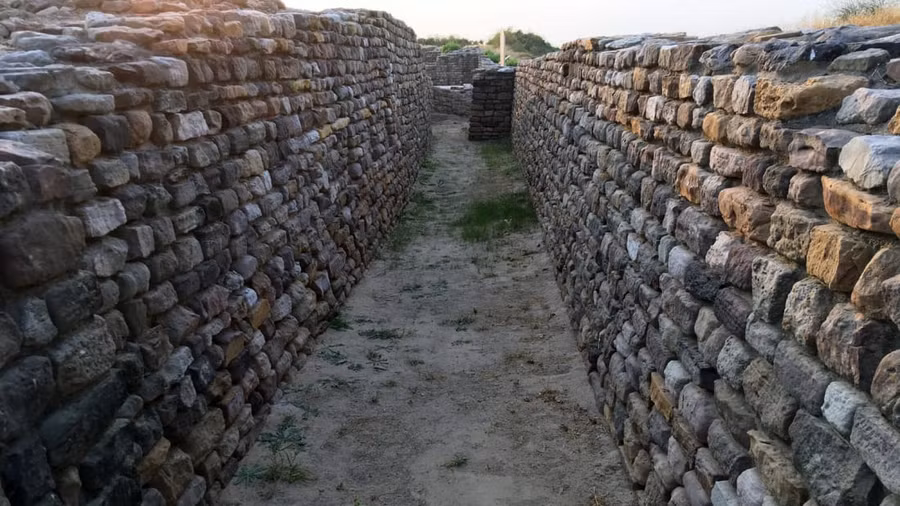 Thiên đường tuyệt mỹ Rann of Kutch ảnh 1