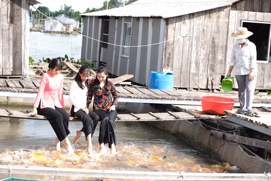Du lịch miệt vườn phục hồi bằng sản phẩm mới ảnh 1