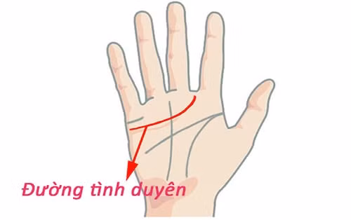 Nhìn đường chỉ tay này có thể biết hôn nhân của phụ nữ hạnh phúc hay khổ đau