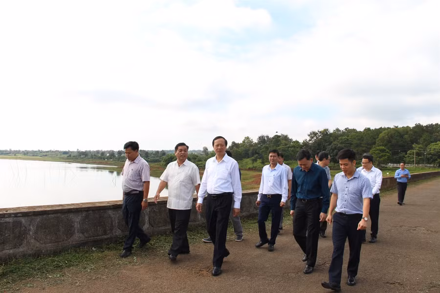 Thứ trưởng Phạm Ngọc Thưởng: Gia Lai cần đặc biệt quan tâm, chú trọng bảo vệ rừng ảnh 1