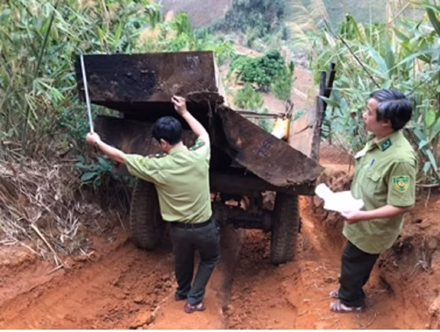 Kon Tum: Truy quét các điểm nóng về phá rừng